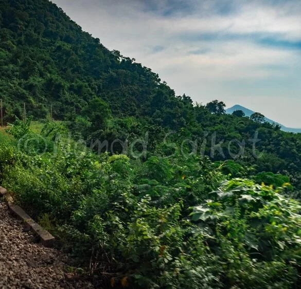 ArakuValley