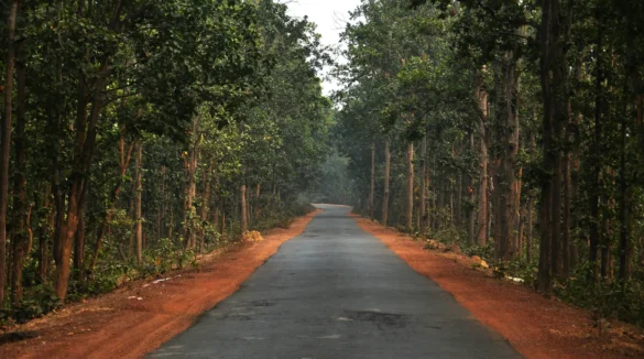Joypur Forest Bankura
