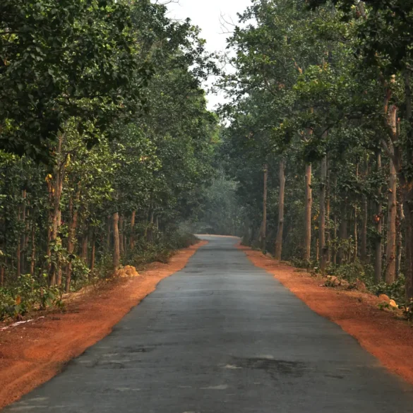 Joypur Forest Bankura