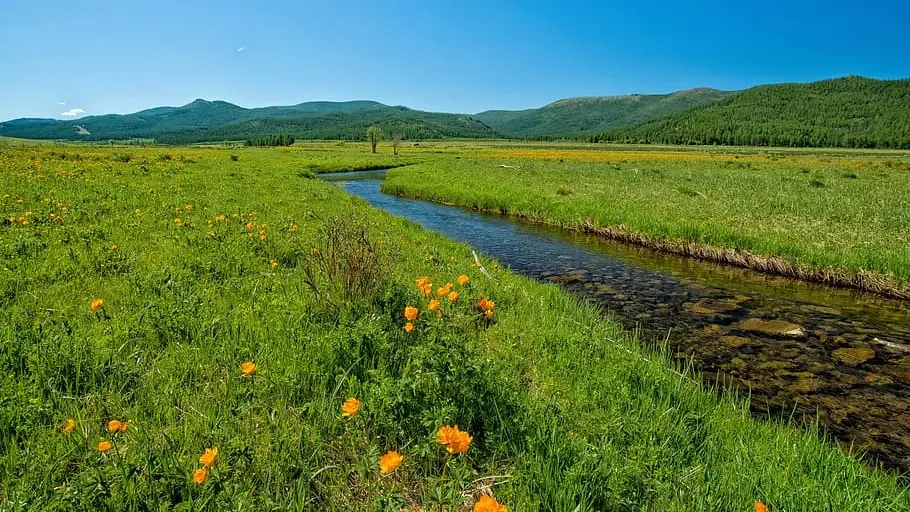 Valley of Flowers creek