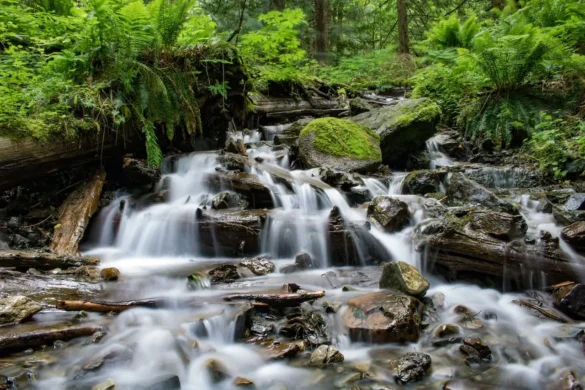 Waterfalls in Maine