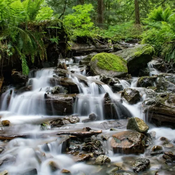 Waterfalls in Maine