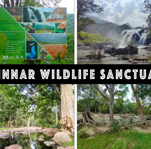 Chinnar Wildlife Sanctuary