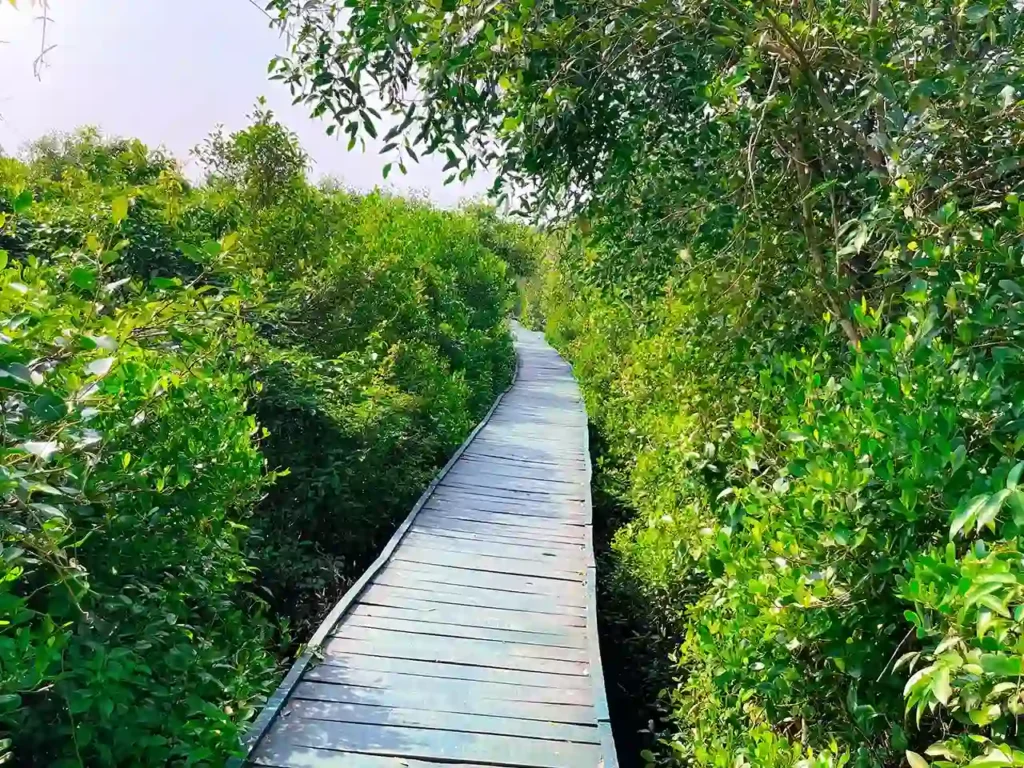 Coringa Wildlife Sanctuary pathway