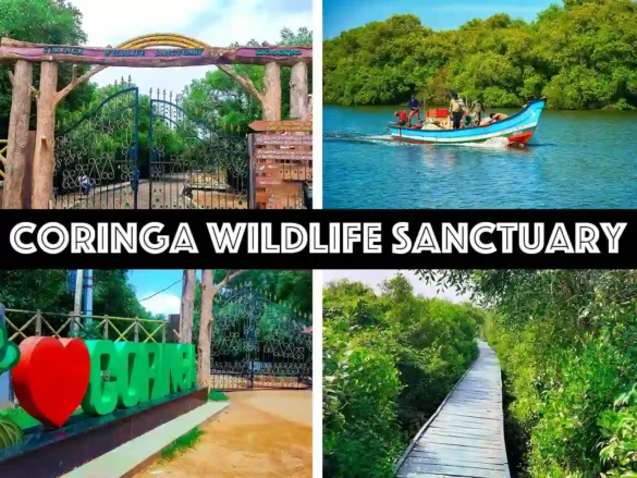 Coringa Wildlife Sanctuary