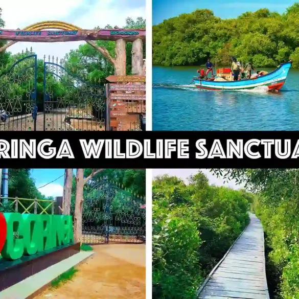 Coringa Wildlife Sanctuary