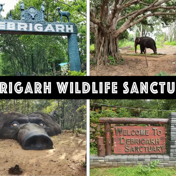 Debrigarh Wildlife Sanctuary