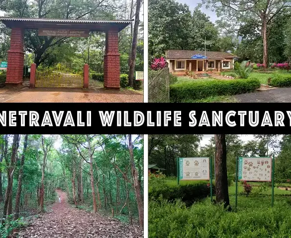 Netravali Wildlife Sanctuary