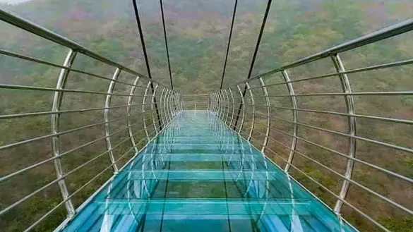 Rajgir Glass Bridge
