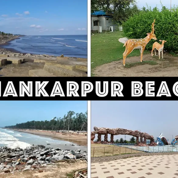 Shankarpur Beach