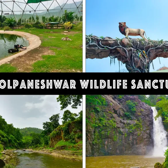 Shoolpaneshwar Wildlife Sanctuary