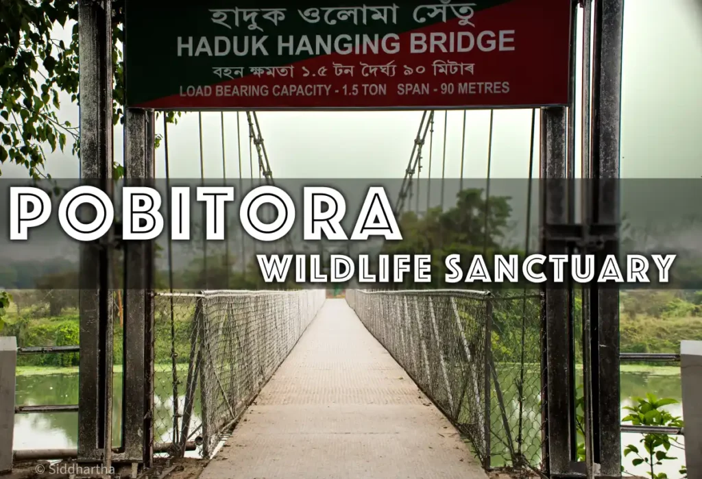 Pobitora Wildlife Sanctuary Bridge