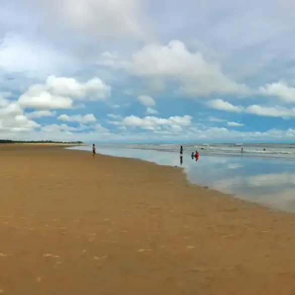 Tajpur Beach