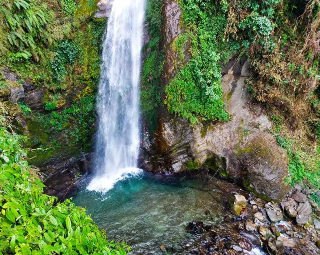 Neora Valley National Park