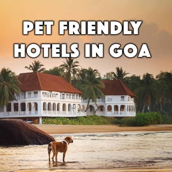 Pet Friendly Hotels in Goa