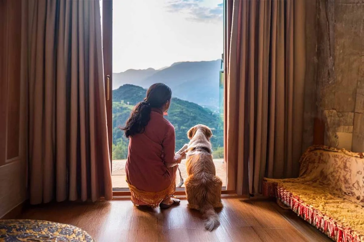 Pet Friendly Hotels in Kasauli