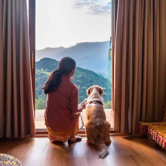 Pet Friendly Hotels in Kasauli