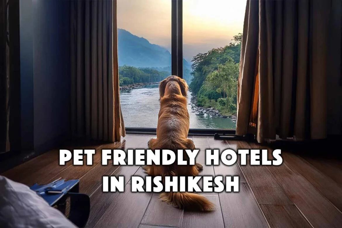 Pet Friendly Hotels in Rishikesh