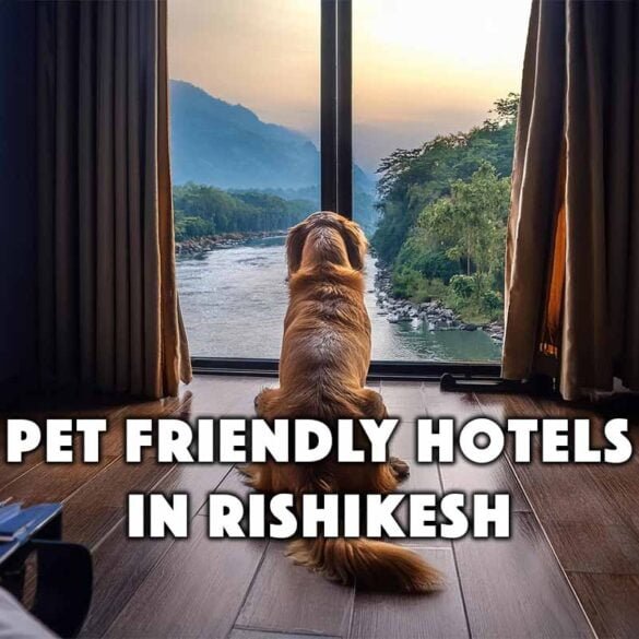 Pet Friendly Hotels in Rishikesh