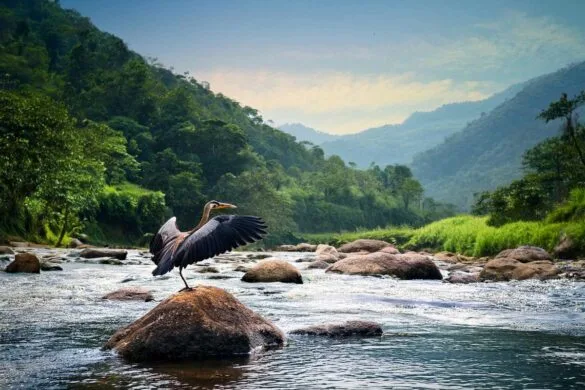 Jambughoda Wildlife Sanctuary