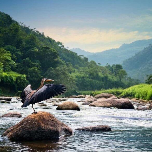 Jambughoda Wildlife Sanctuary