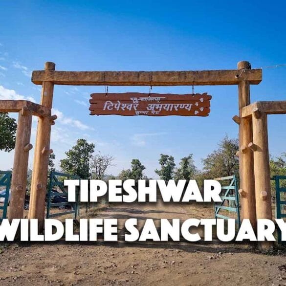 Tipeshwar Wildlife Sanctuary