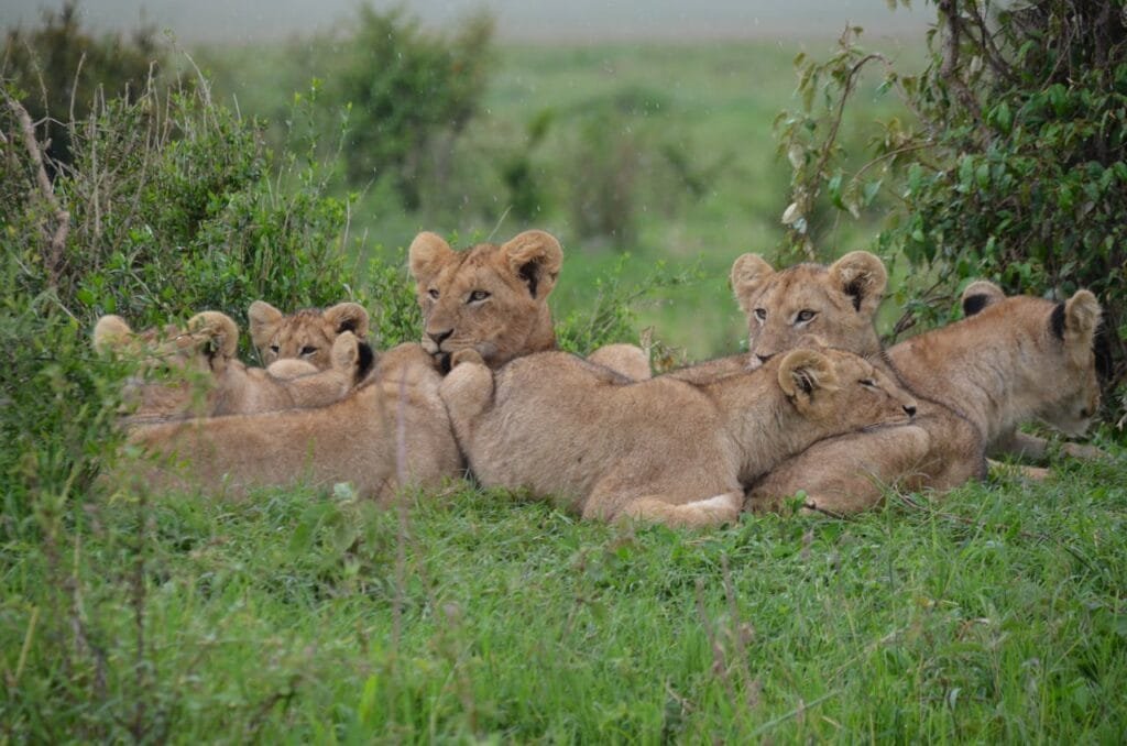 Kenya